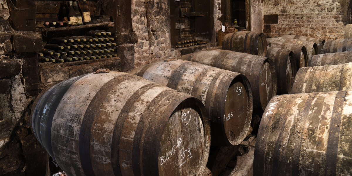 Old beer barrels being stored in a cellar